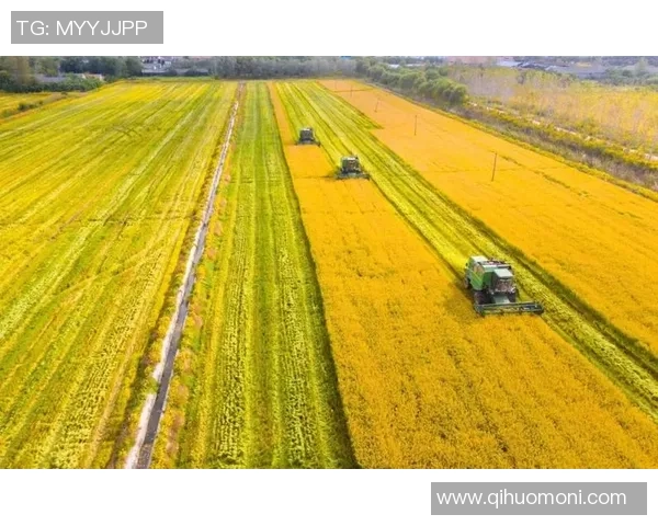 盐城大丰港战队奋力拼搏创佳绩 助力地方经济发展与体育事业崛起 盐城大丰港战队奋力拼搏创佳绩 助力地方经济发展与体育事业崛起