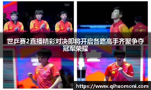 3377体育官网登录