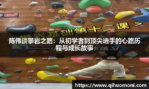 3377体育官网入口