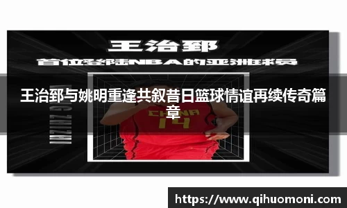 3377体育官网登录