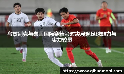 3377体育官网入口