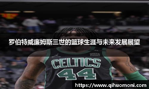 3377体育官网登录